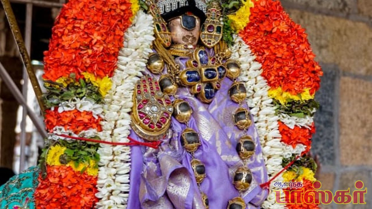 அருள்மிகு அரங்கநாதசுவாமி திருக்கோயில்  நம்பெருமாள்  ஊஞ்சல் திருநாள்