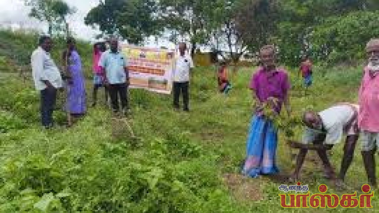 வலங்கைமானில் 2700 மரக்கன்றுகள் நடும் பணி துவக்கம்.