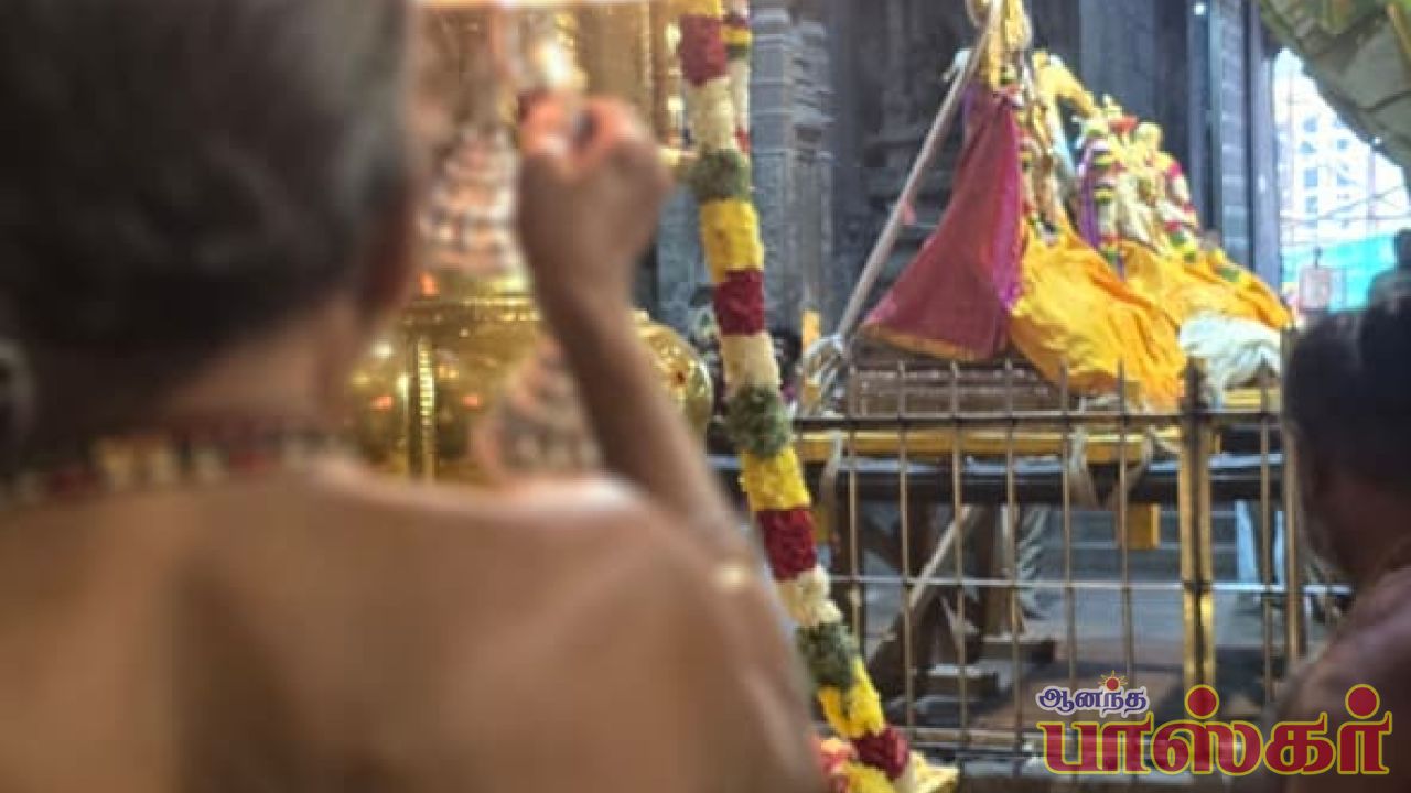 திருக்கார்த்திகை தீபத்திருவிழா கொடியேற்றத்துடன் ஆரம்பம்