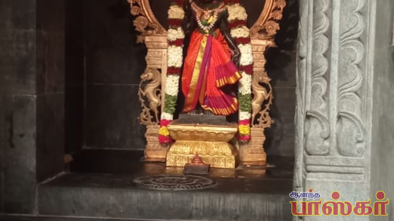 அருள்மிகு கால பைரவ நாதர் அருள் பாலிக்கும் காட்சி