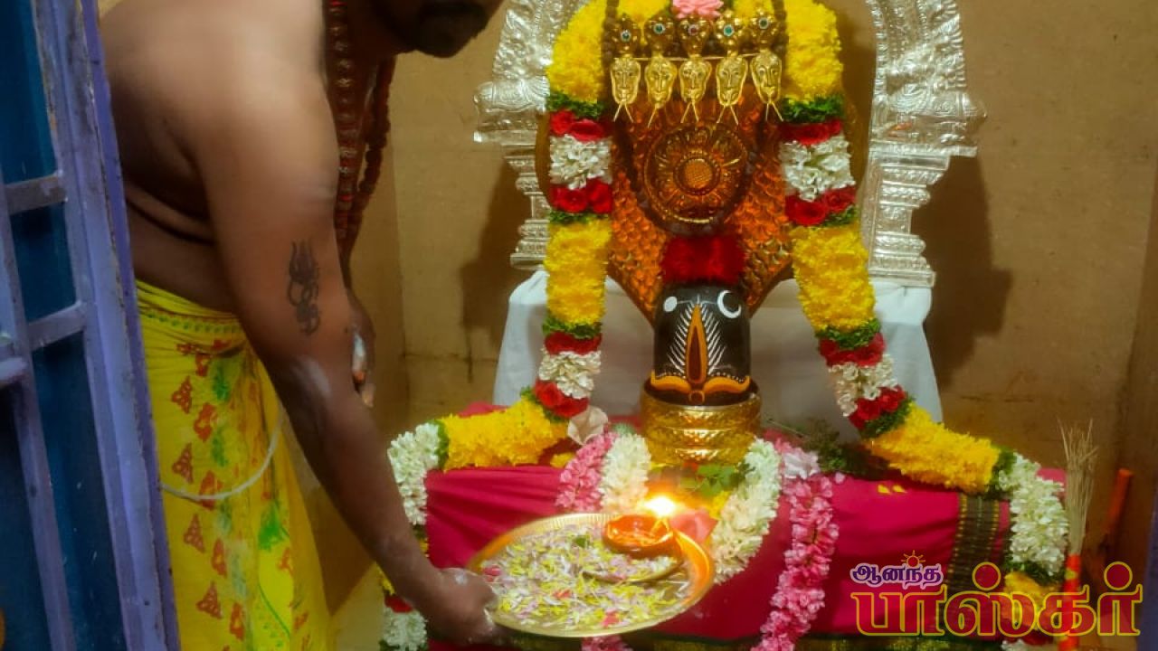சிறப்பு அலங்காரத்தில் அருள் பாலிக்கும் சர்வலிங்கேஸ்வரபெருமான்