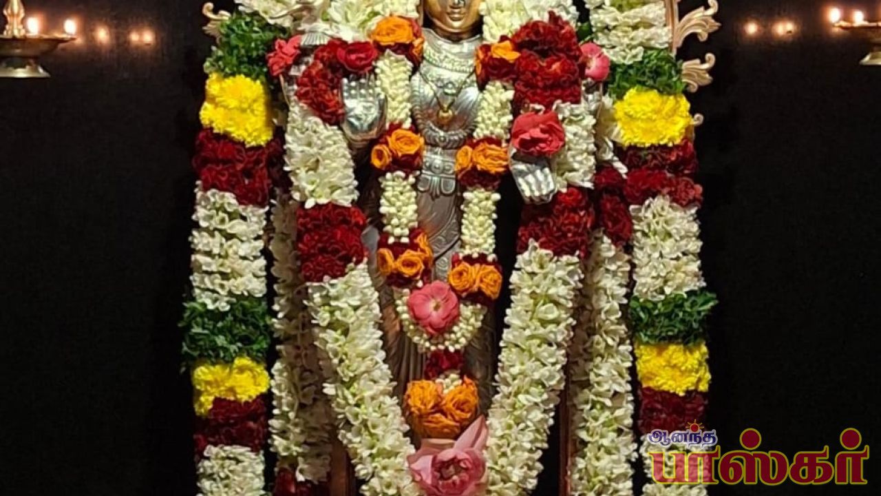 திருக்கார்த்திகை தீபத் திருவிழா, மற்றும் கார்த்திகை மாத பௌர்ணமி சிறப்பு அலங்காரம்....... 